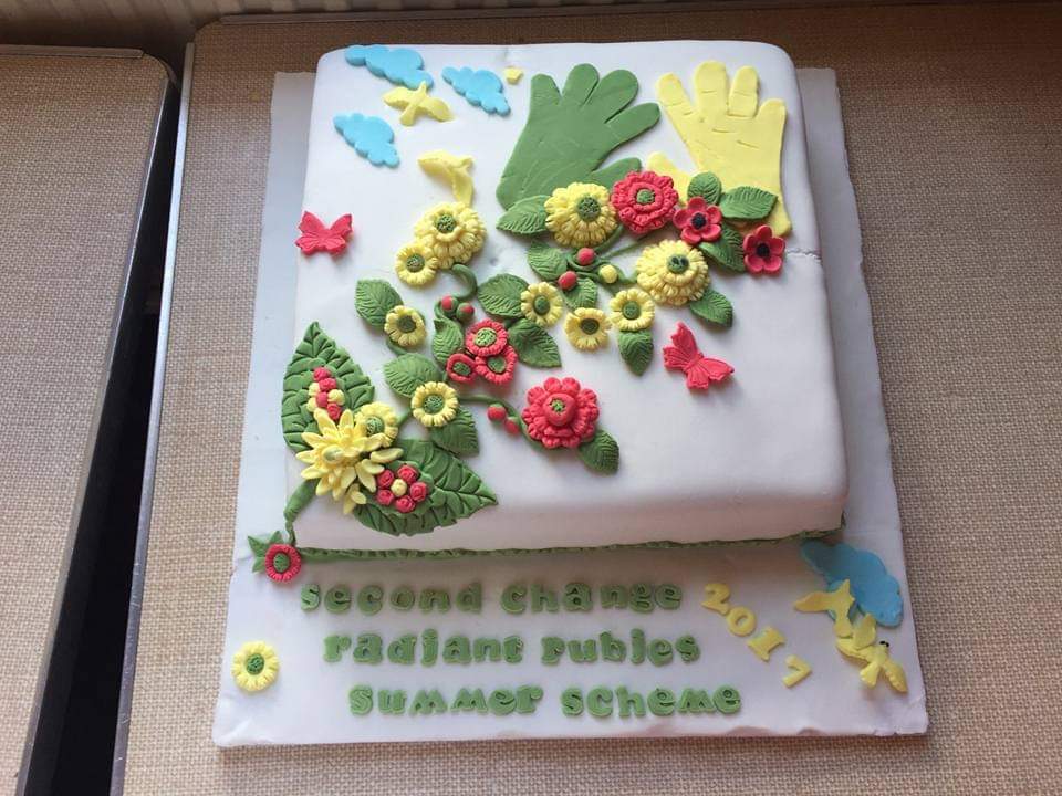 Cakes for Radiant Rubies 2017 Events